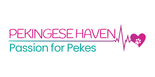 Website Logo